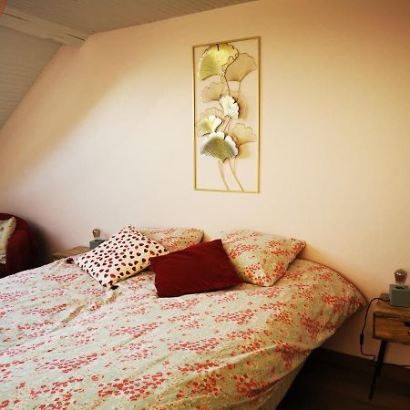 Domaine De L'Esperance, Chambre Rose Bed & Breakfast Bersaillin Exterior photo