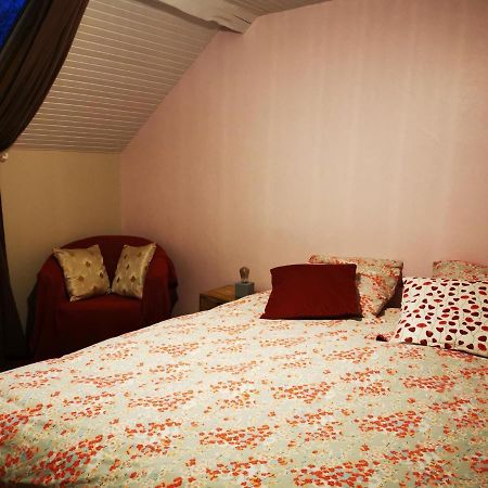 Domaine De L'Esperance, Chambre Rose Bed & Breakfast Bersaillin Exterior photo